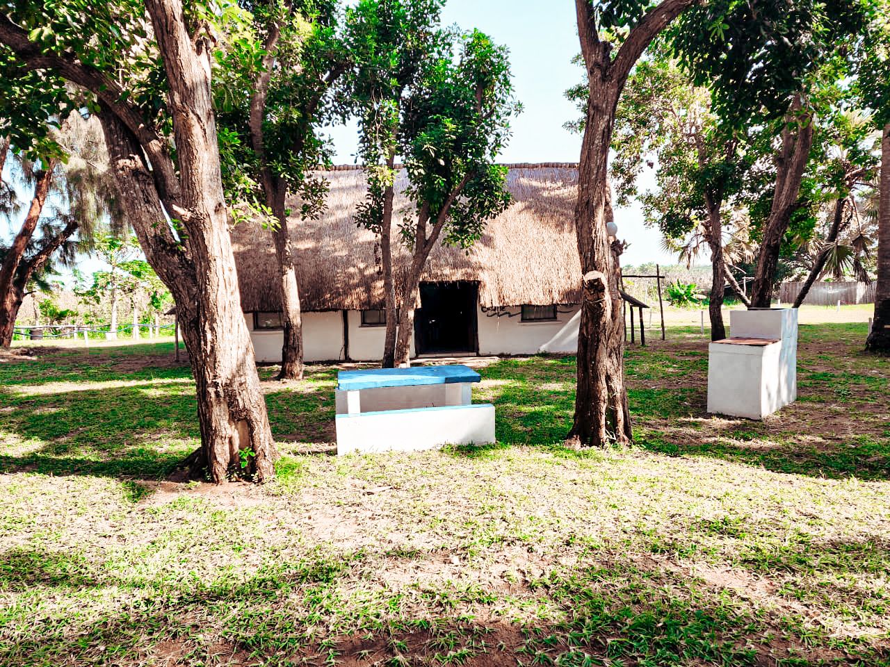Cowry | Zavora Lodge